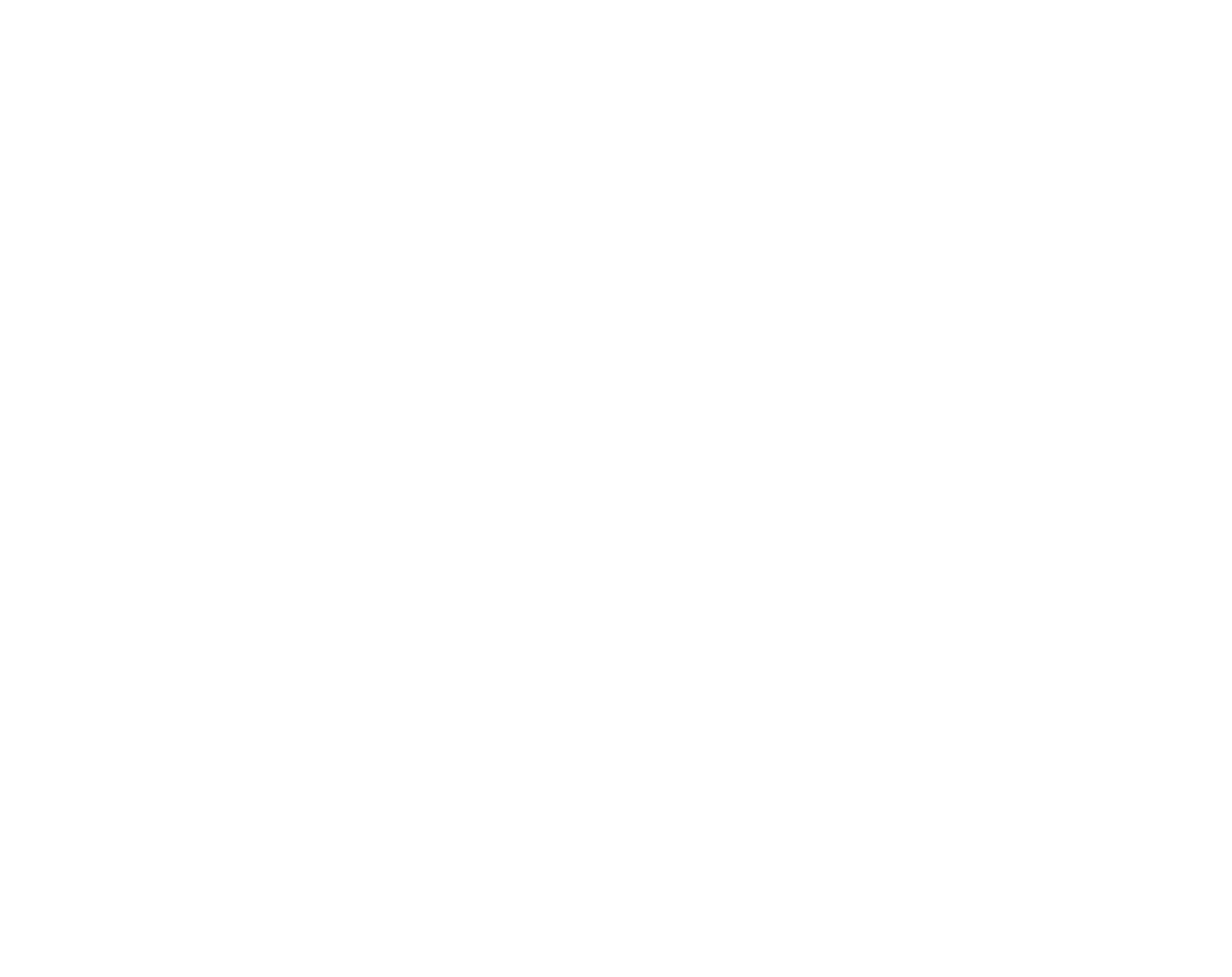 LO Multimedia